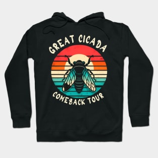 The Great Cicada Comeback tour 2024 Hoodie